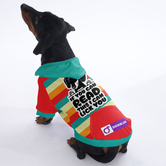 If you can read this , I can lick you - Hoodies for Dachshunds