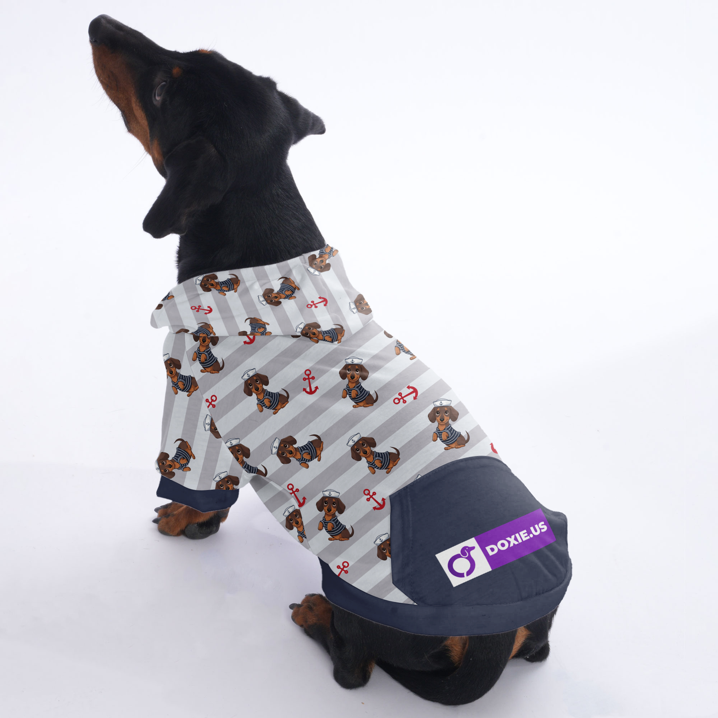 Ludwig  - Hoodies for Dachshunds