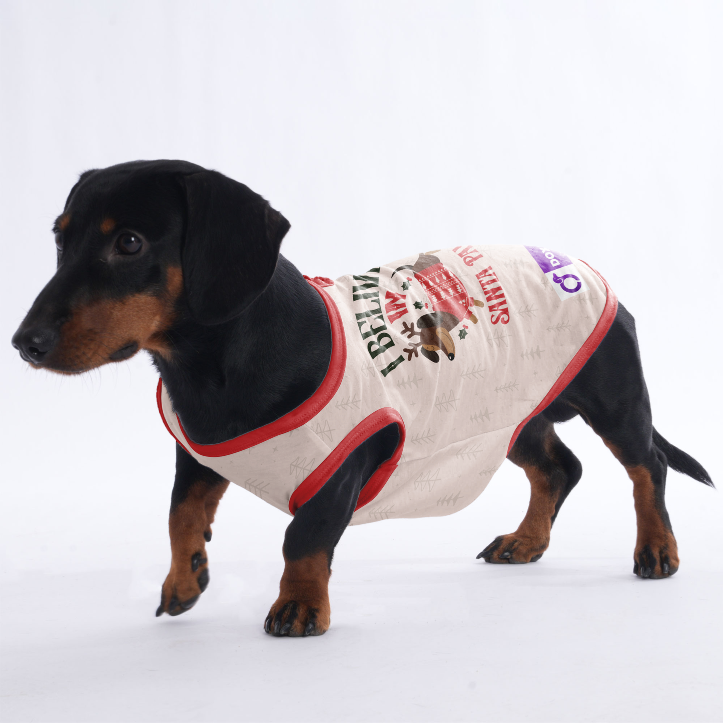 I belive in santa paws -  Shirt for Dachshunds