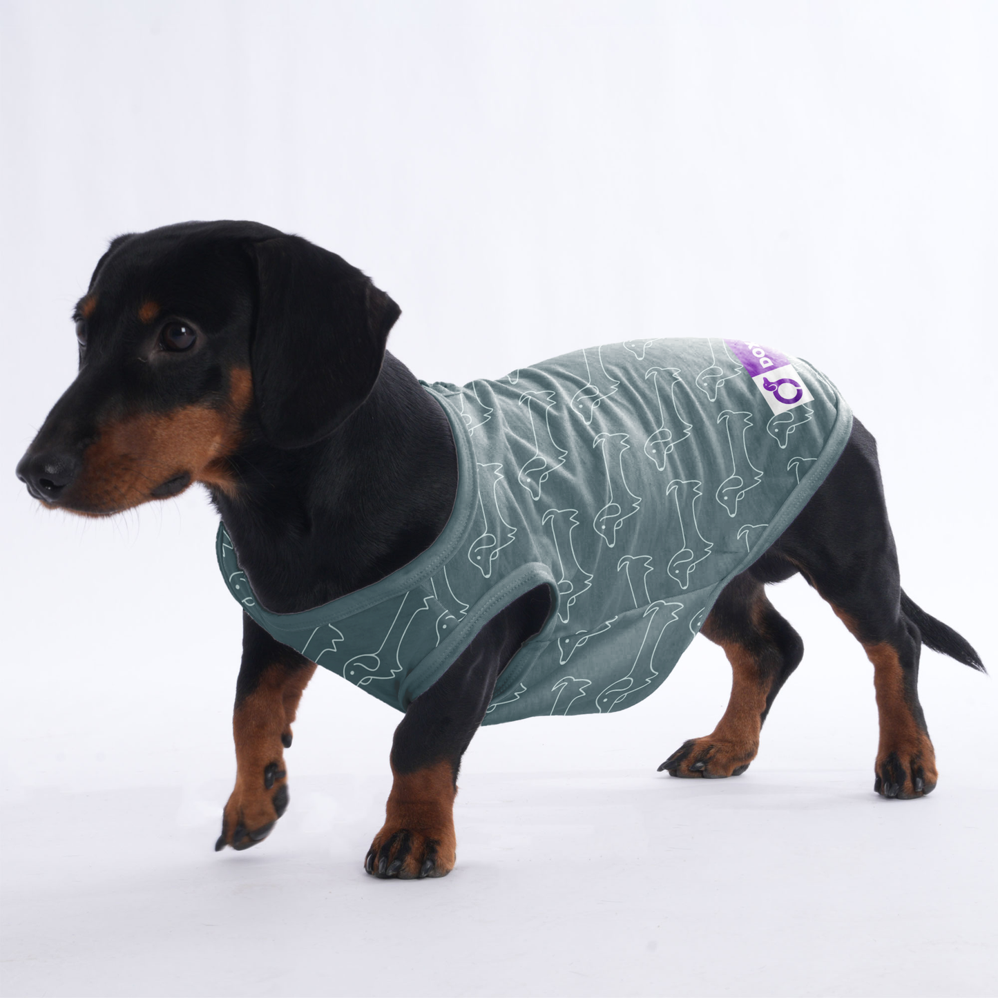 Sebastian  -  Shirt for Dachshunds