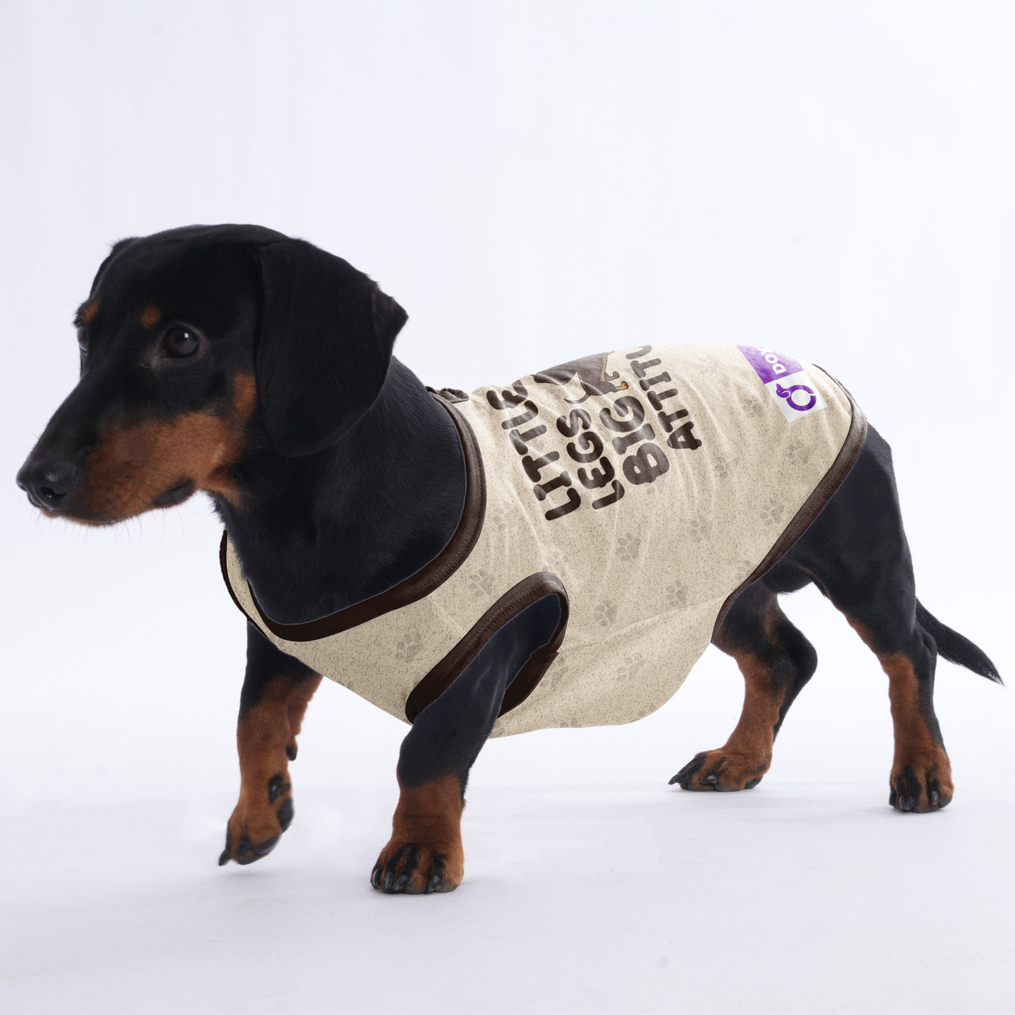 LITTLE LEGS BIG ATTITUDE  -  Shirt for Dachshunds