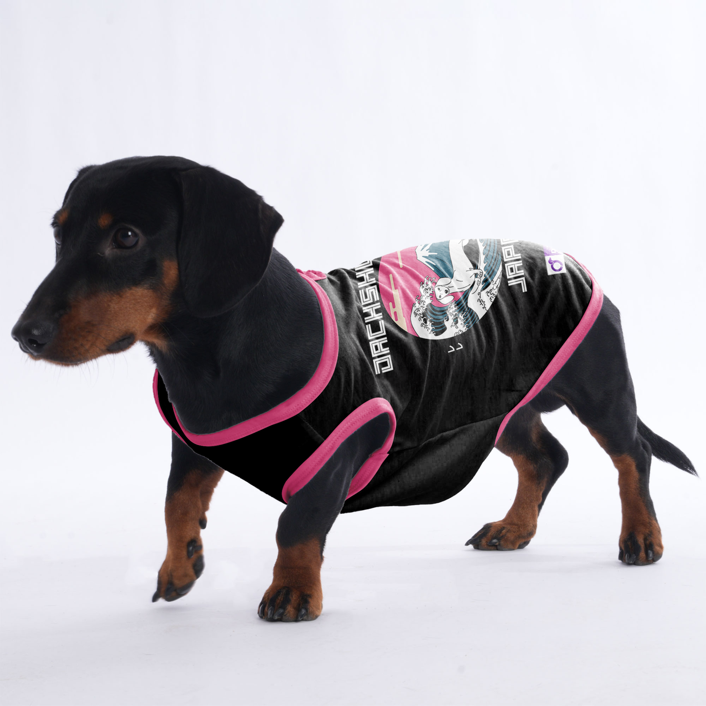 Teddy -  Shirt for Dachshunds