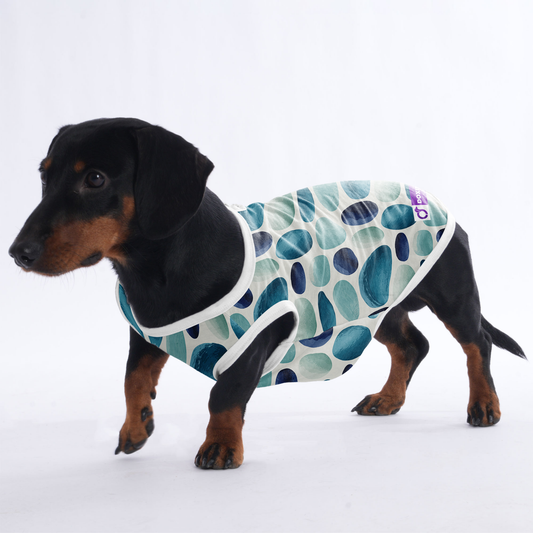 Koda -  Shirt for Dachshunds