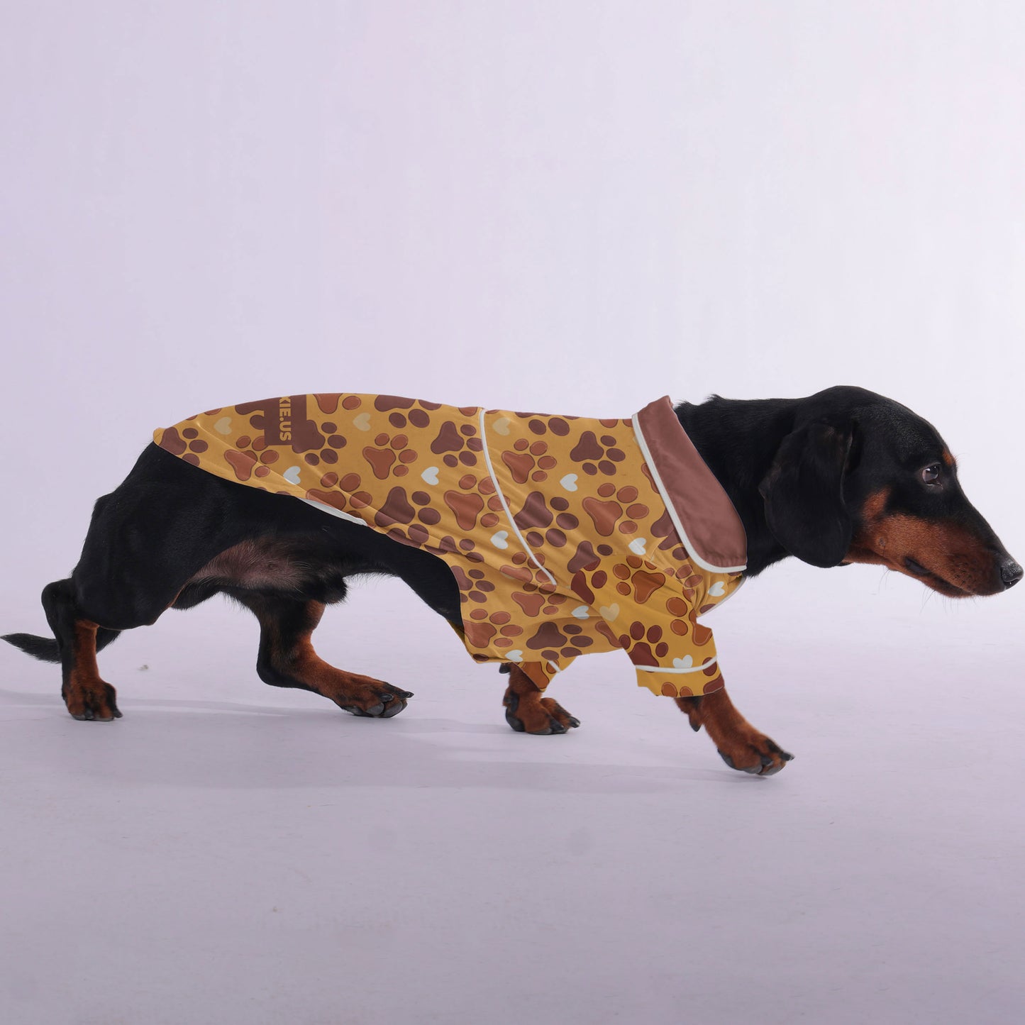 Dexter -  Pajamas for Dachshund