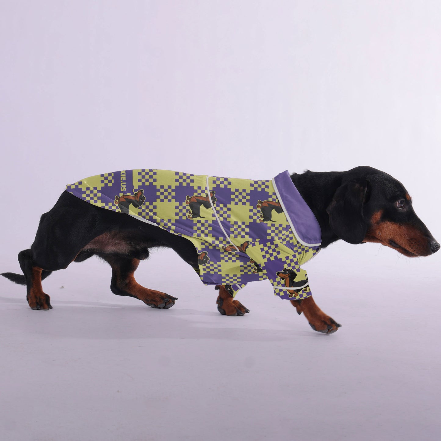 Toby -  Pajamas for Dachshund