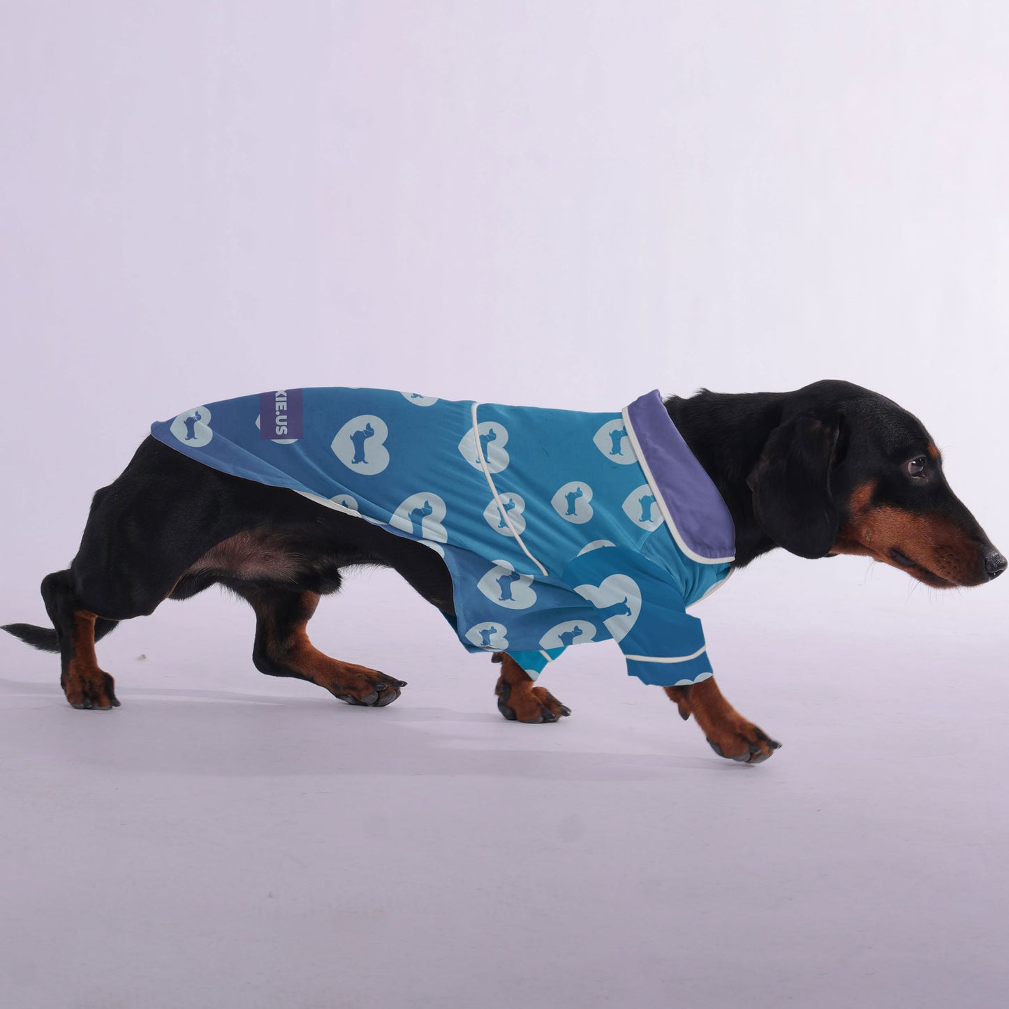 Martha -  Pajamas for Dachshund