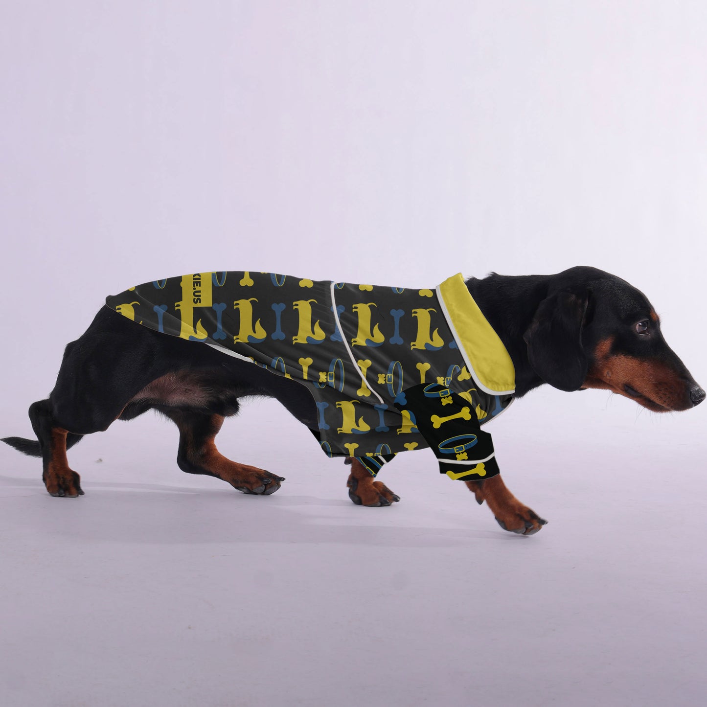 Moritz -  Pajamas for Dachshund