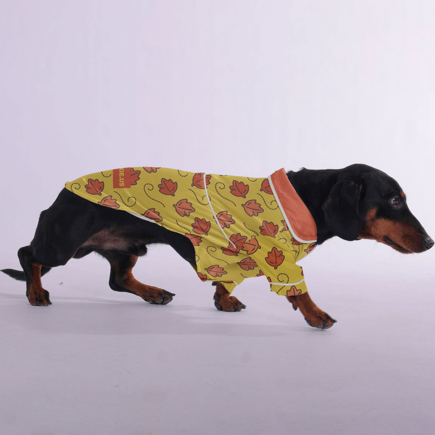 Lenny  -  Pajamas for Dachshund