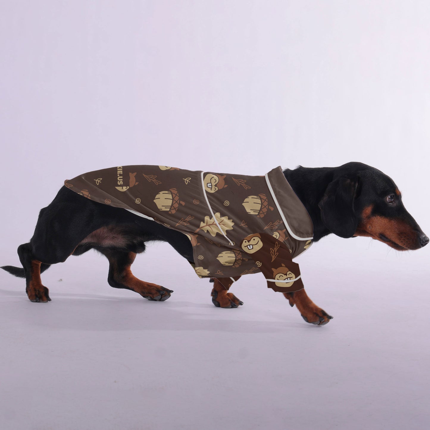 Carly - Pajamas for Dachshund