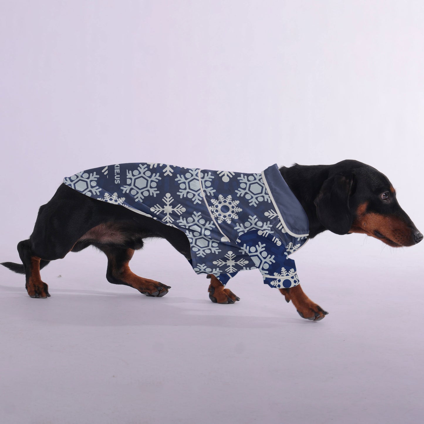 Katie -  Pajamas for Dachshund