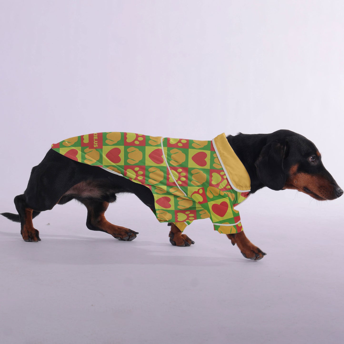 Katie - Pajamas for Dachshund