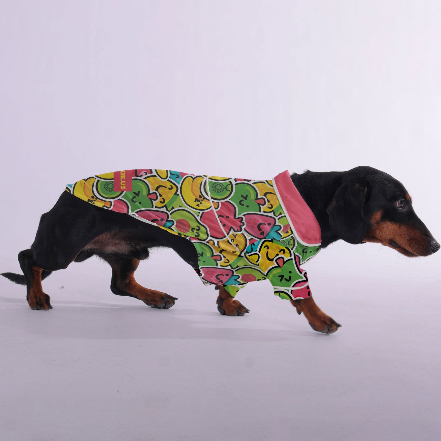 Bodo - Pajamas for Dachshund