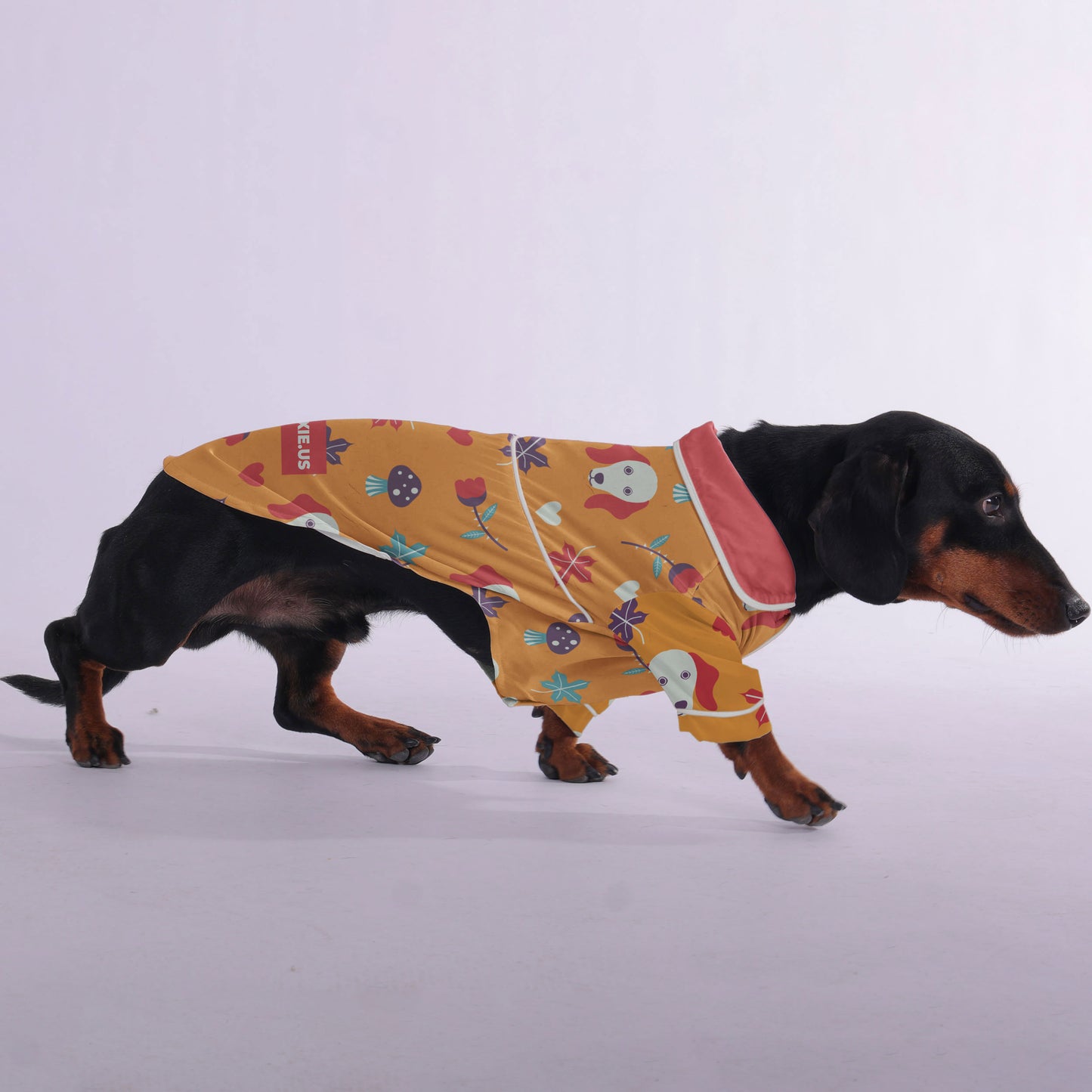 Brooklyn  -  Pajamas for Dachshund