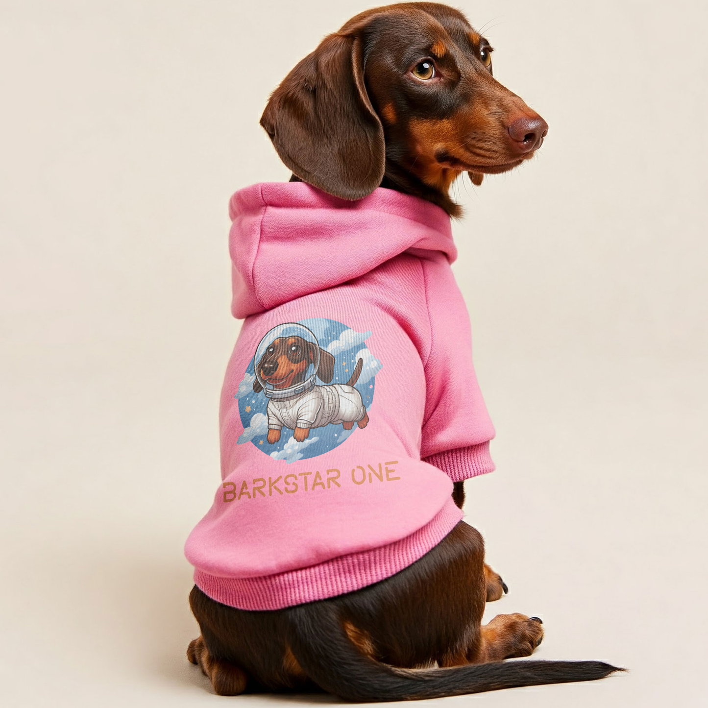 Barkstar One - Personalized Dachshund Hoodies with Funny Quotes – Stylish, Cozy, and Premium 100% Cotton