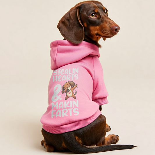 Leo - Personalized Dachshund Hoodies with Funny Quotes – Stylish, Cozy, and Premium 100% Cotton