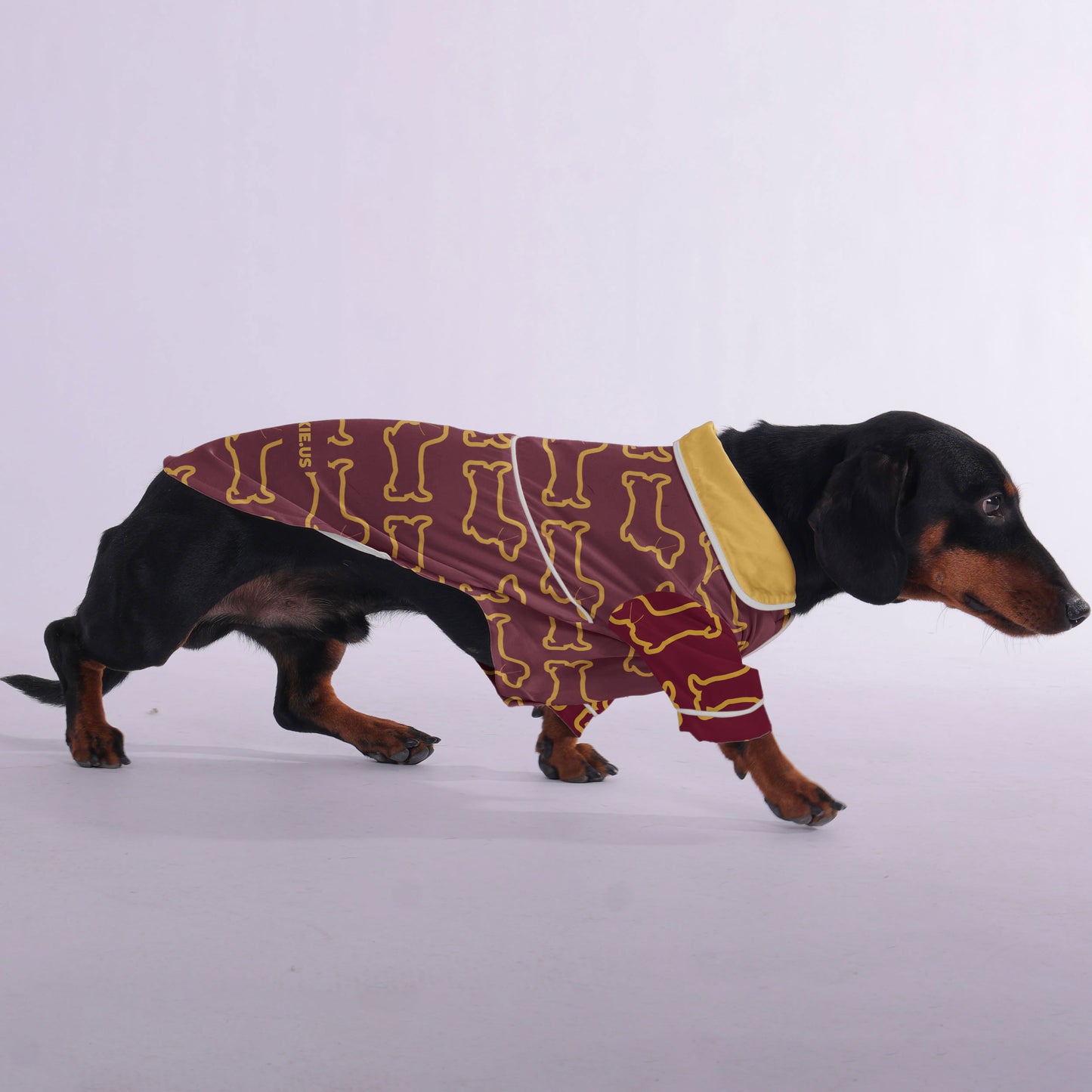 Adele -  Pajamas for Dachshund