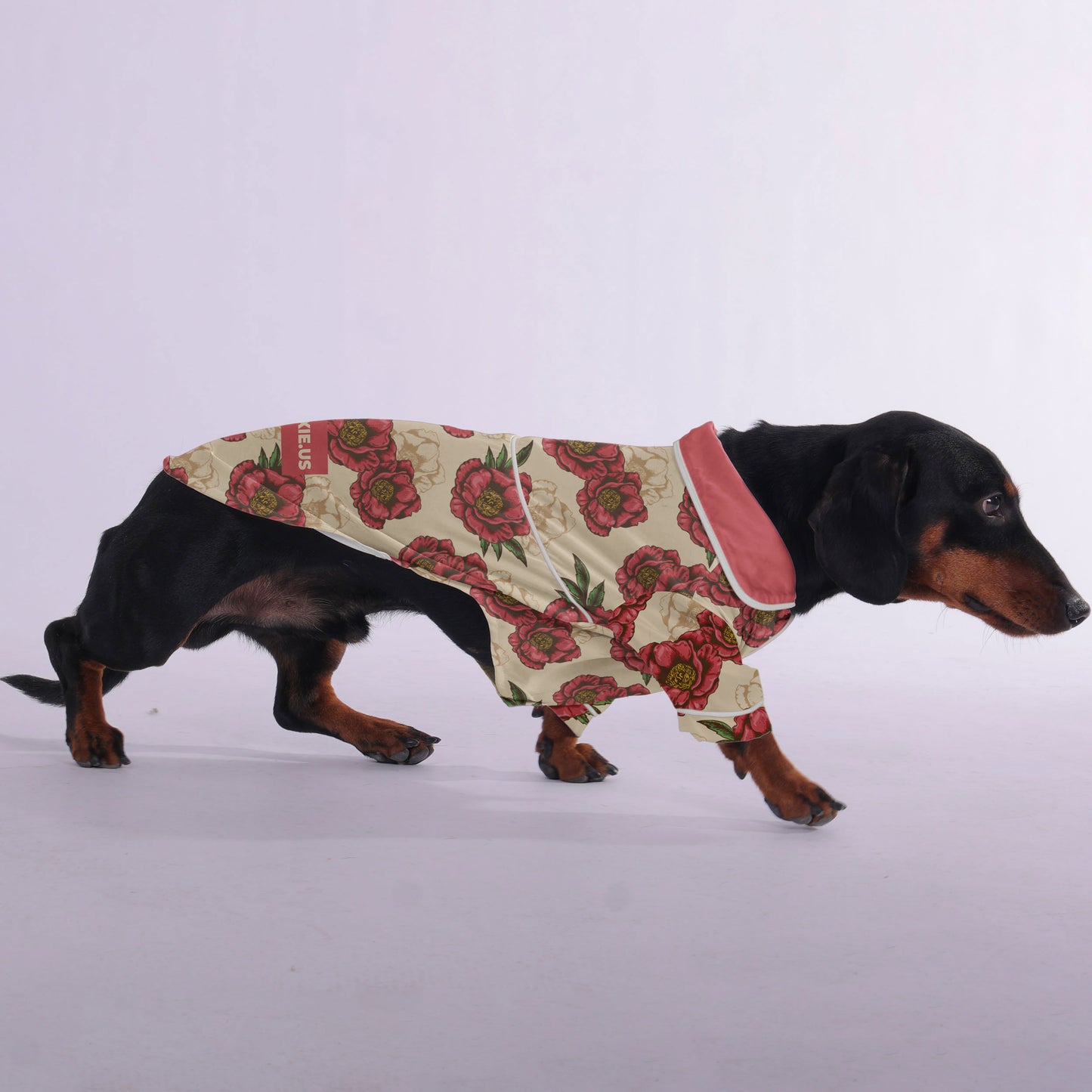 Jenkins -  Pajamas for Dachshund