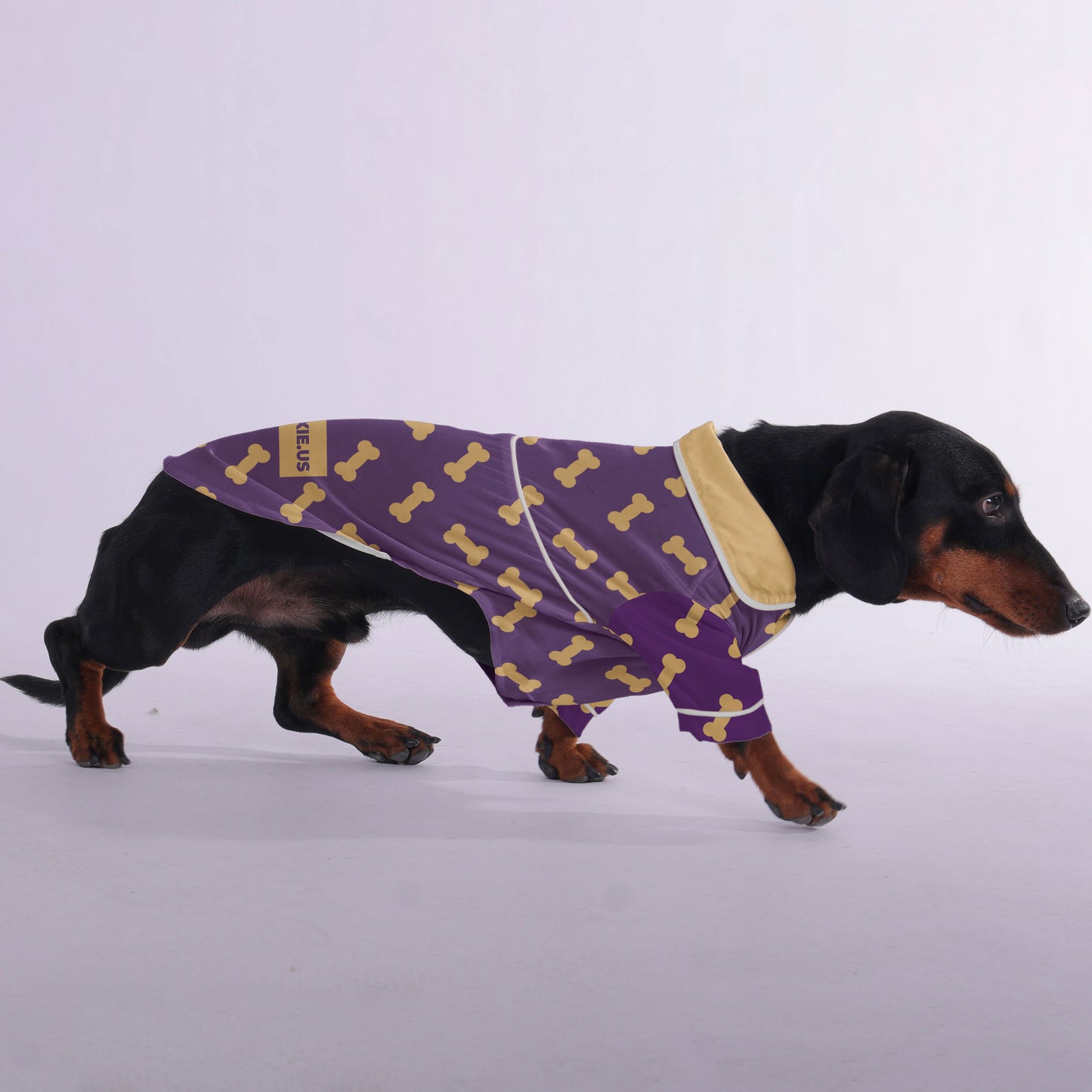 Thor -  Pajamas for Dachshund