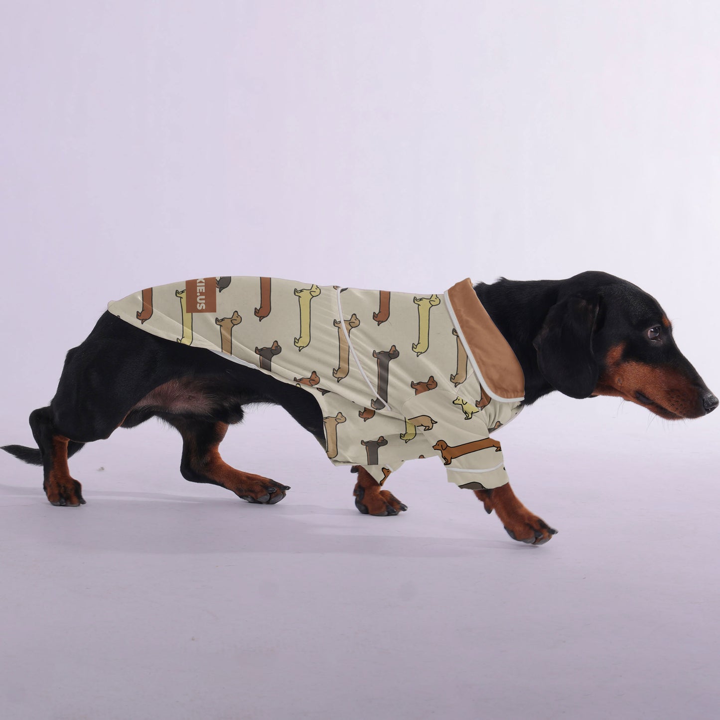 Carmen -  Pajamas for Dachshund