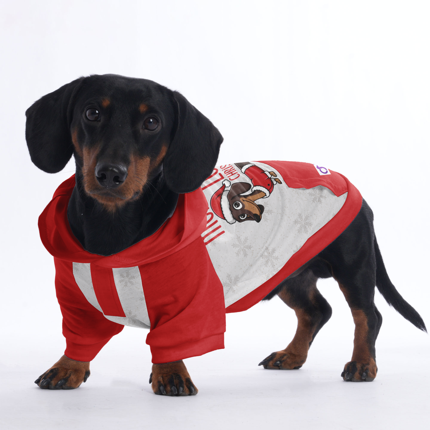 Merry and long christmas - Hoodies for Dachshunds