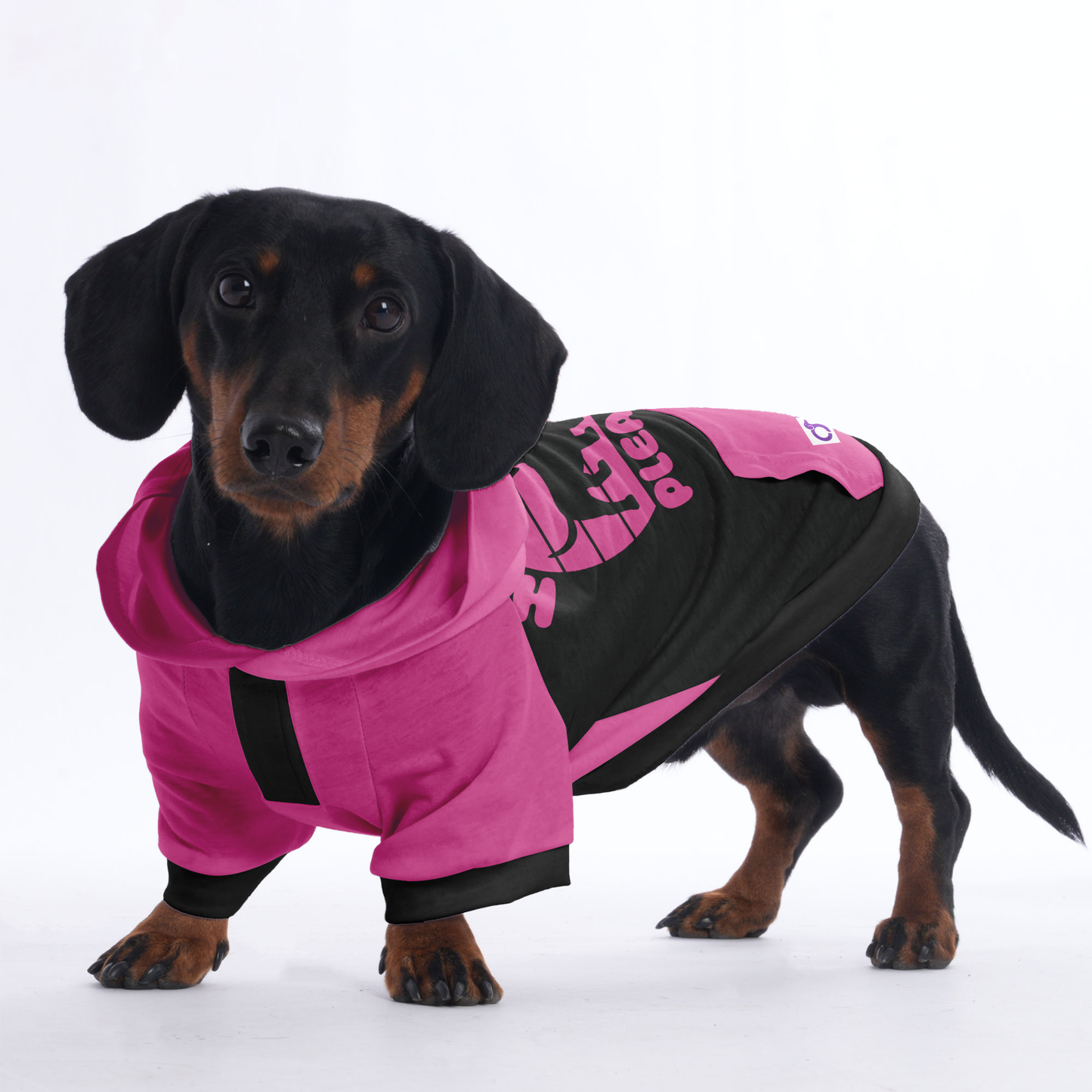 Hug me please - Hoodies for Dachshunds