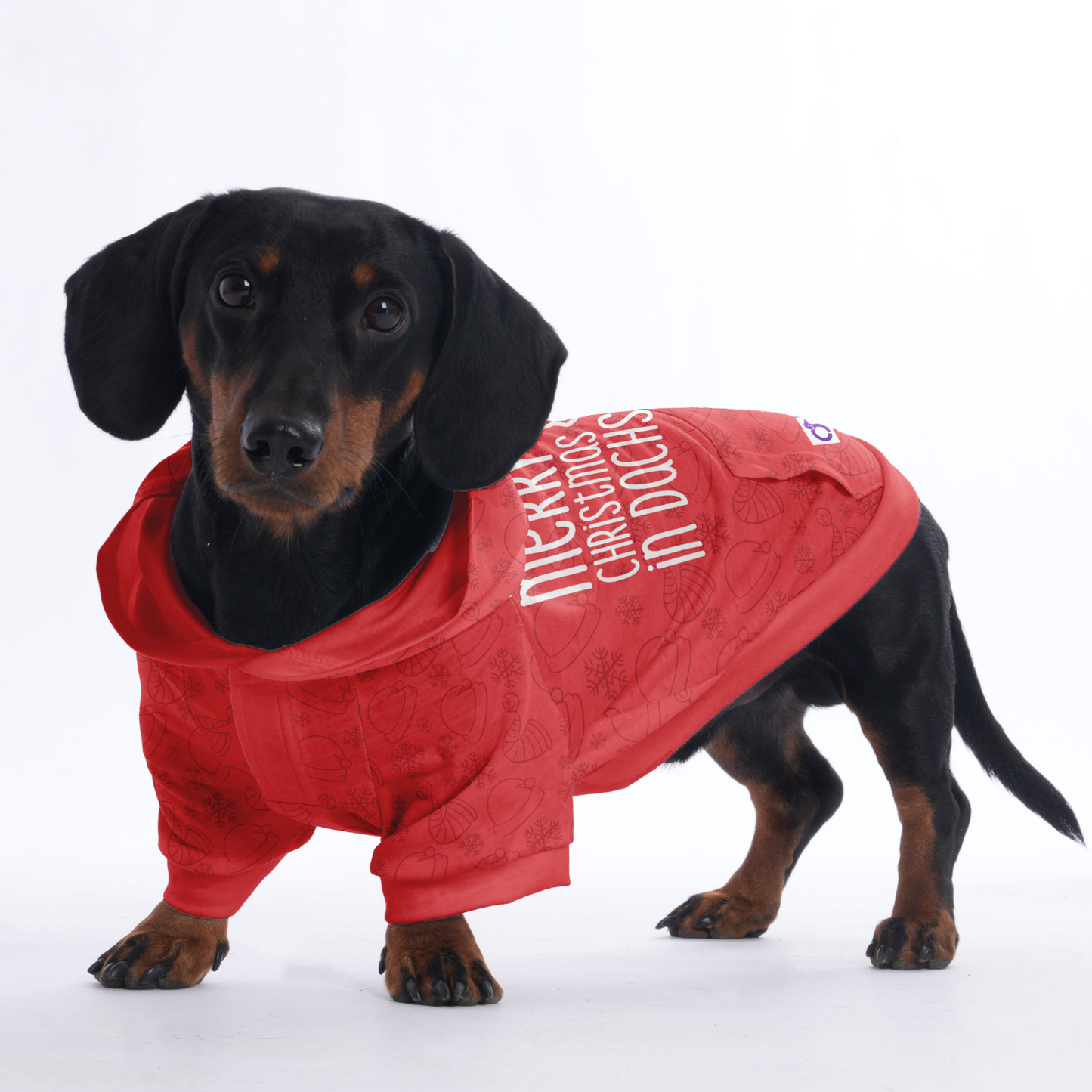 Woof means merry christmas in dachshund - Hoodies for Dachshunds