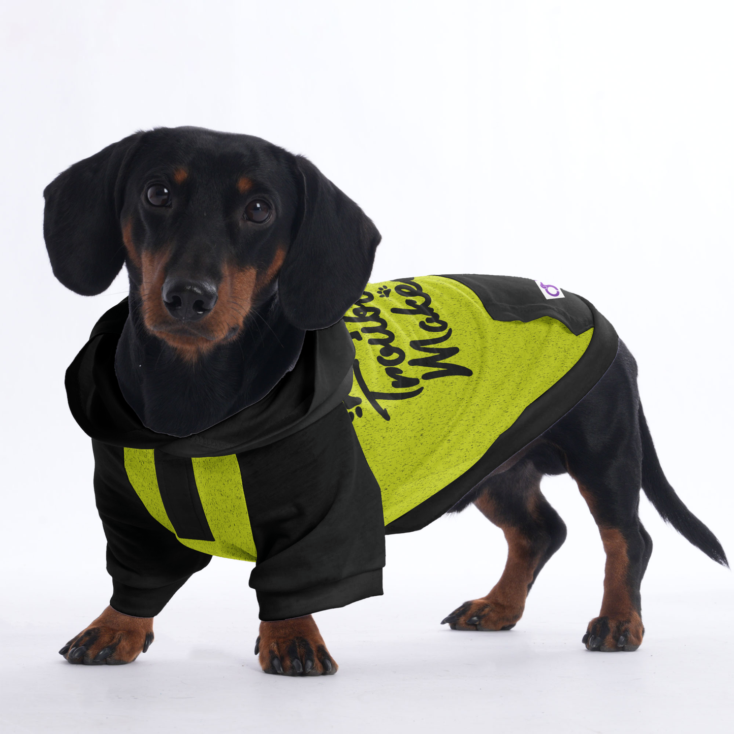 Trouble maker  - Hoodies for Dachshunds