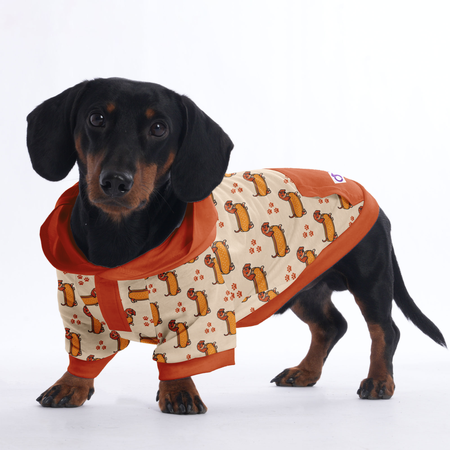 Heidi - Hoodies for Dachshunds