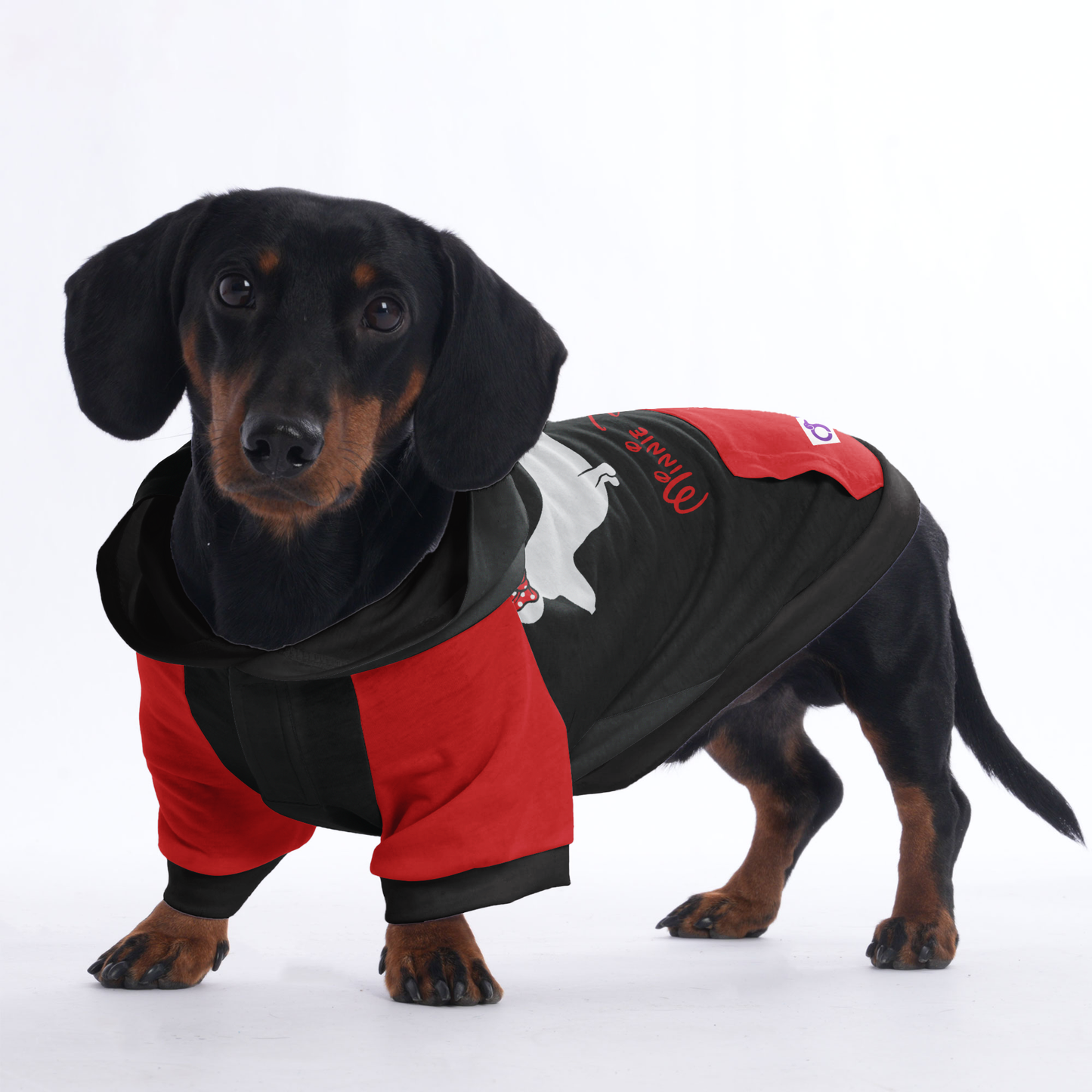 Minnie Doxie - Hoodies for Dachshunds