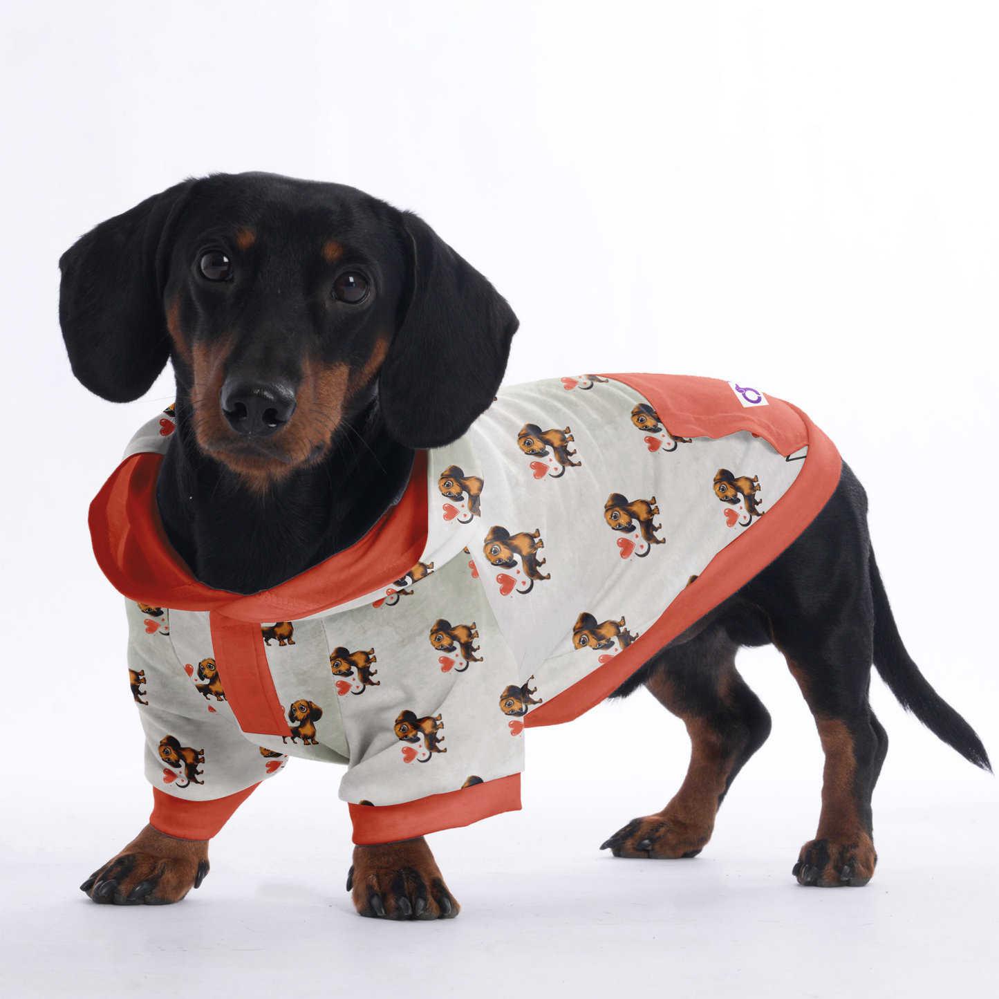 Ludwig - Hoodies for Dachshunds