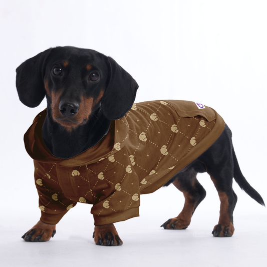 Sandra - Hoodies for Dachshunds