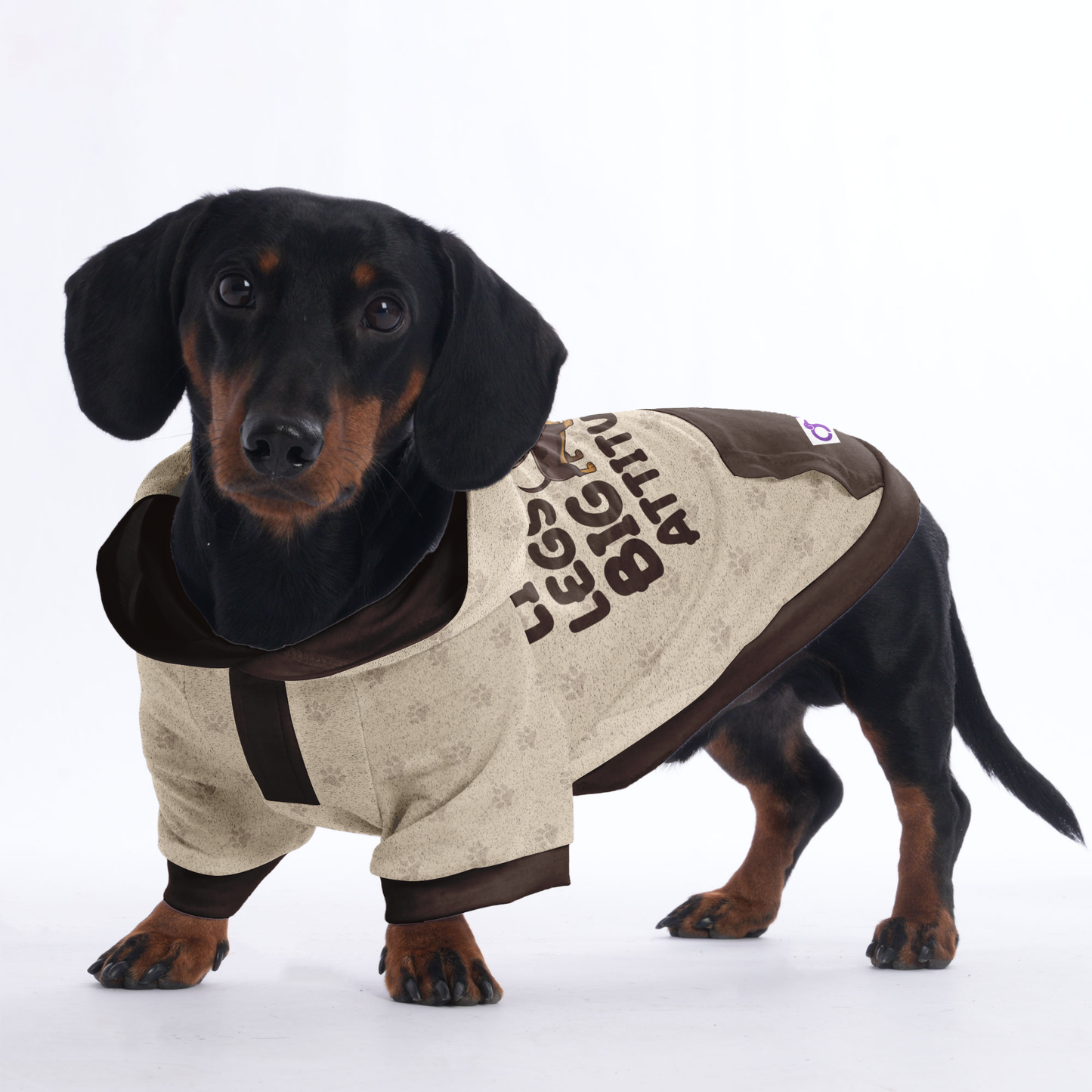 LITTLE LEGS, BIG ATTITUDE  - Hoodies for Dachshunds