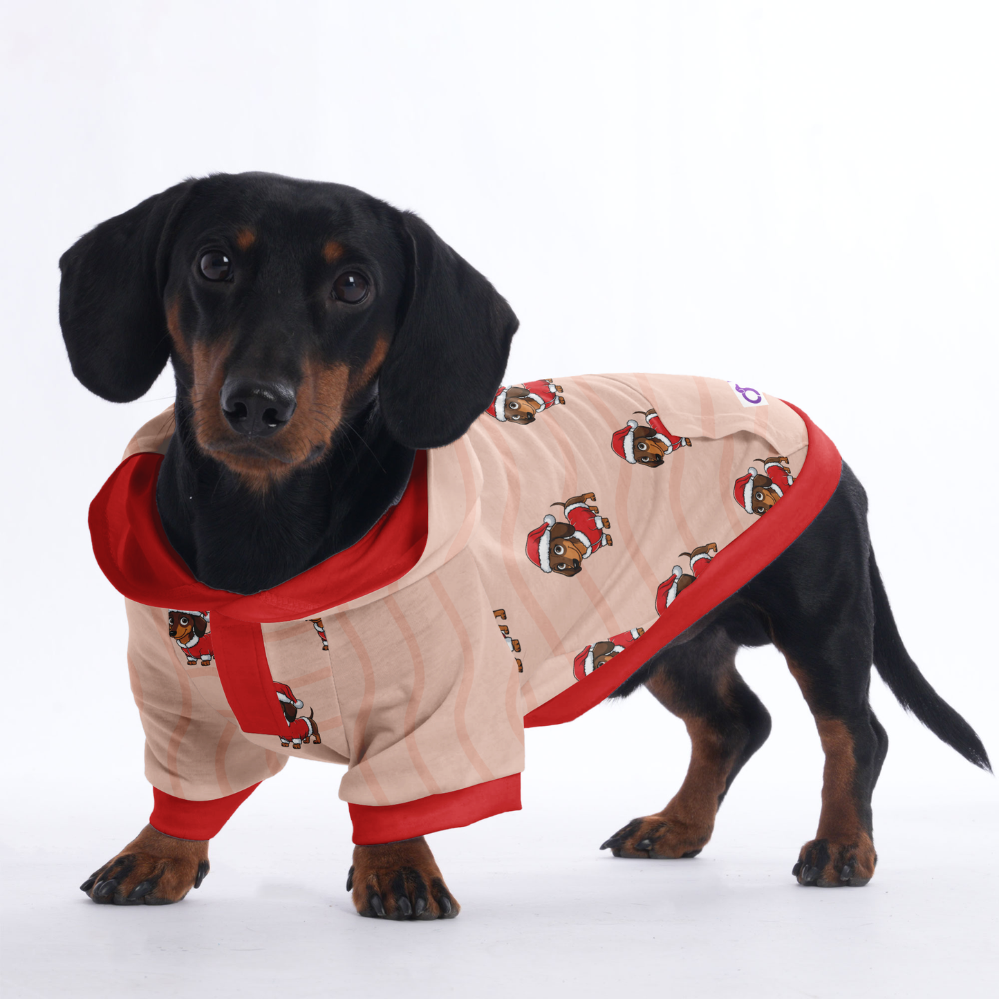 Oreo - Hoodies for Dachshunds