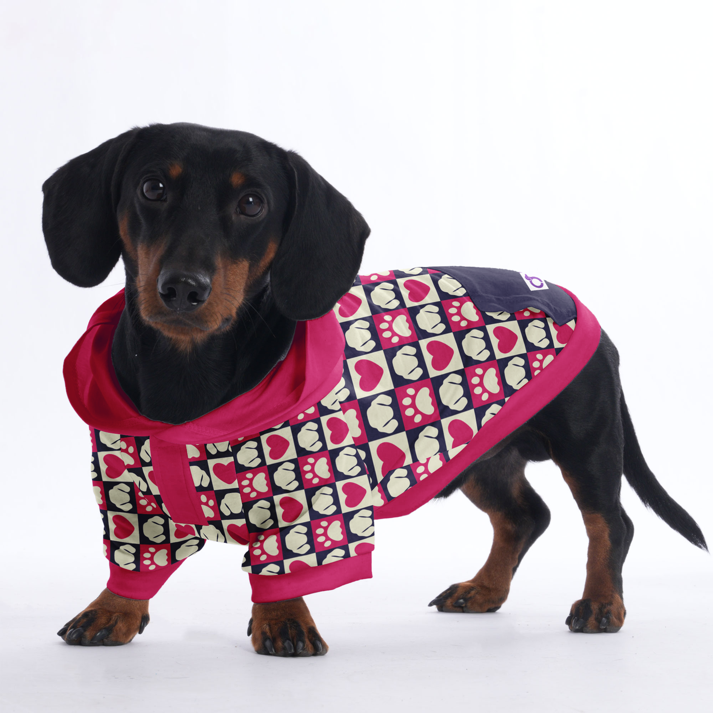 Hugo - Hoodies for Dachshunds