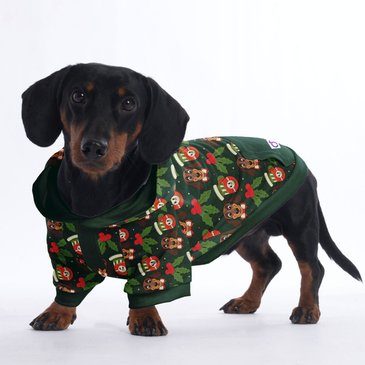 Ray - Hoodies for Dachshunds