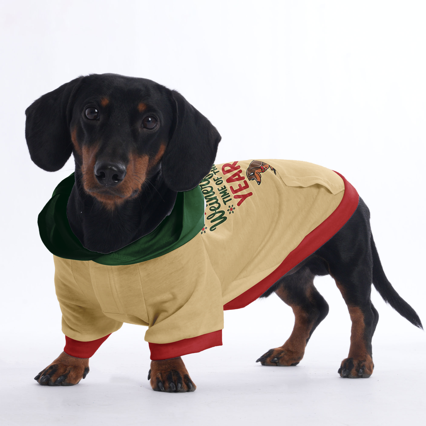 Bella - Hoodies for Dachshunds