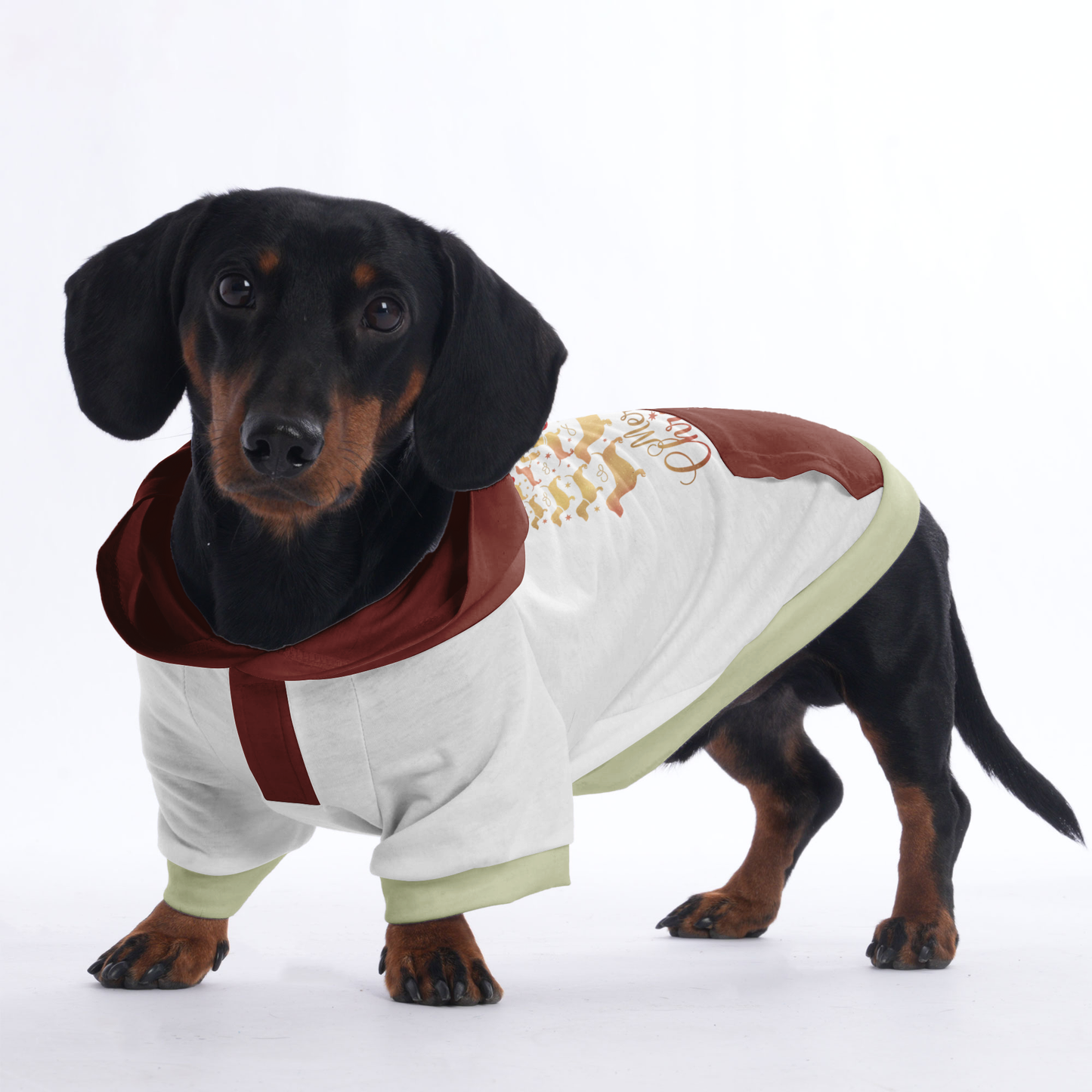 Milo - Hoodies for Dachshunds