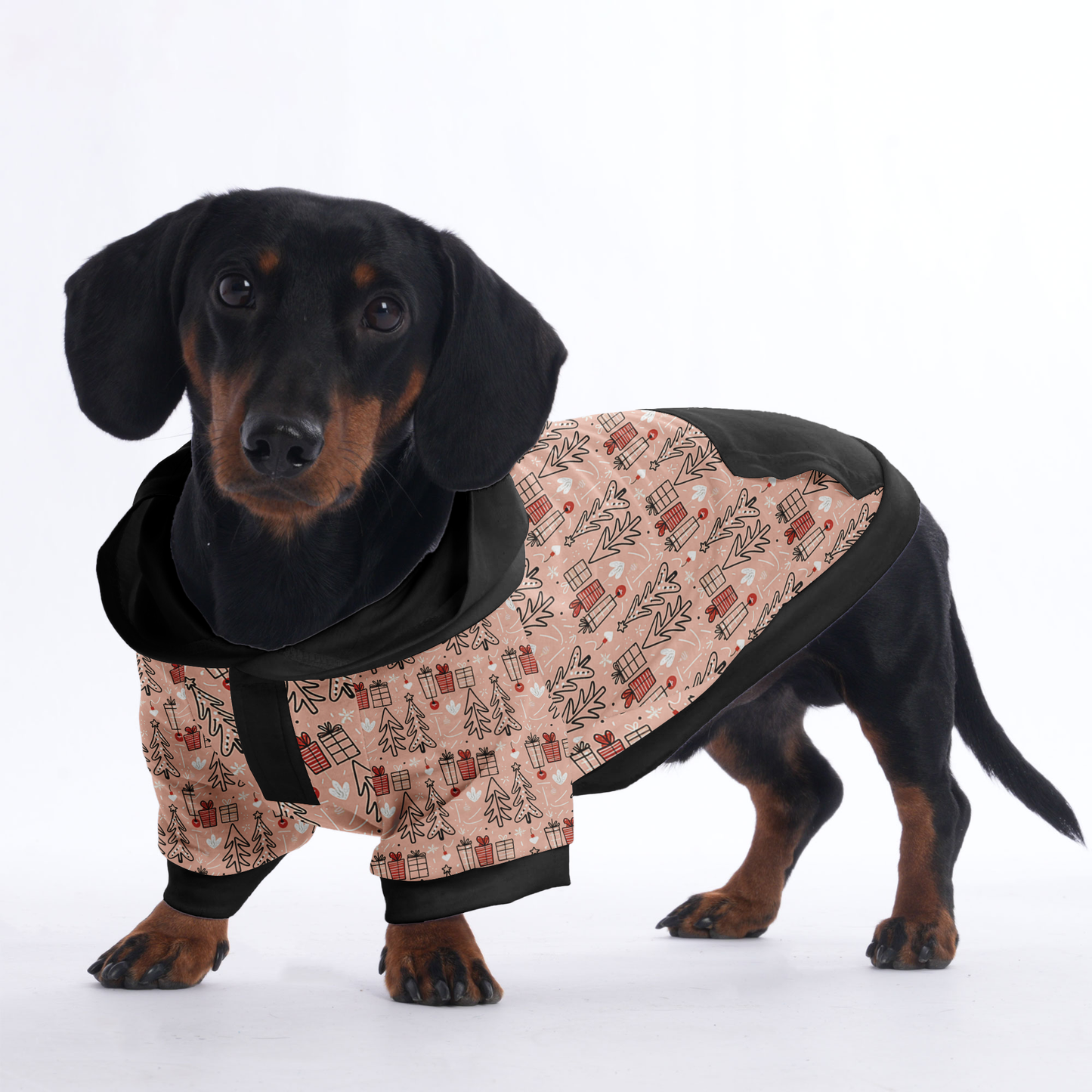 Lola - Hoodies for Dachshunds