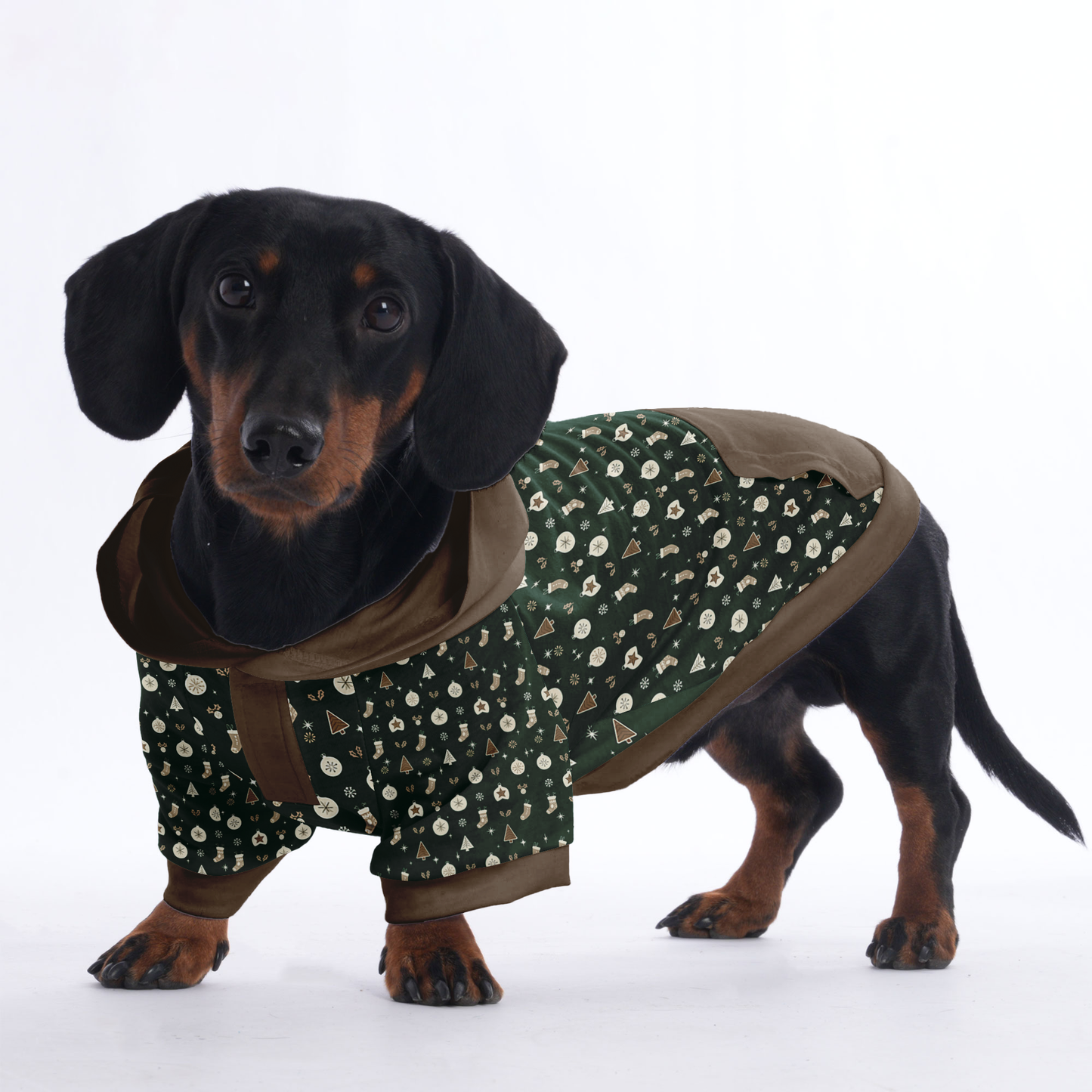 Sadie - Hoodies for Dachshunds