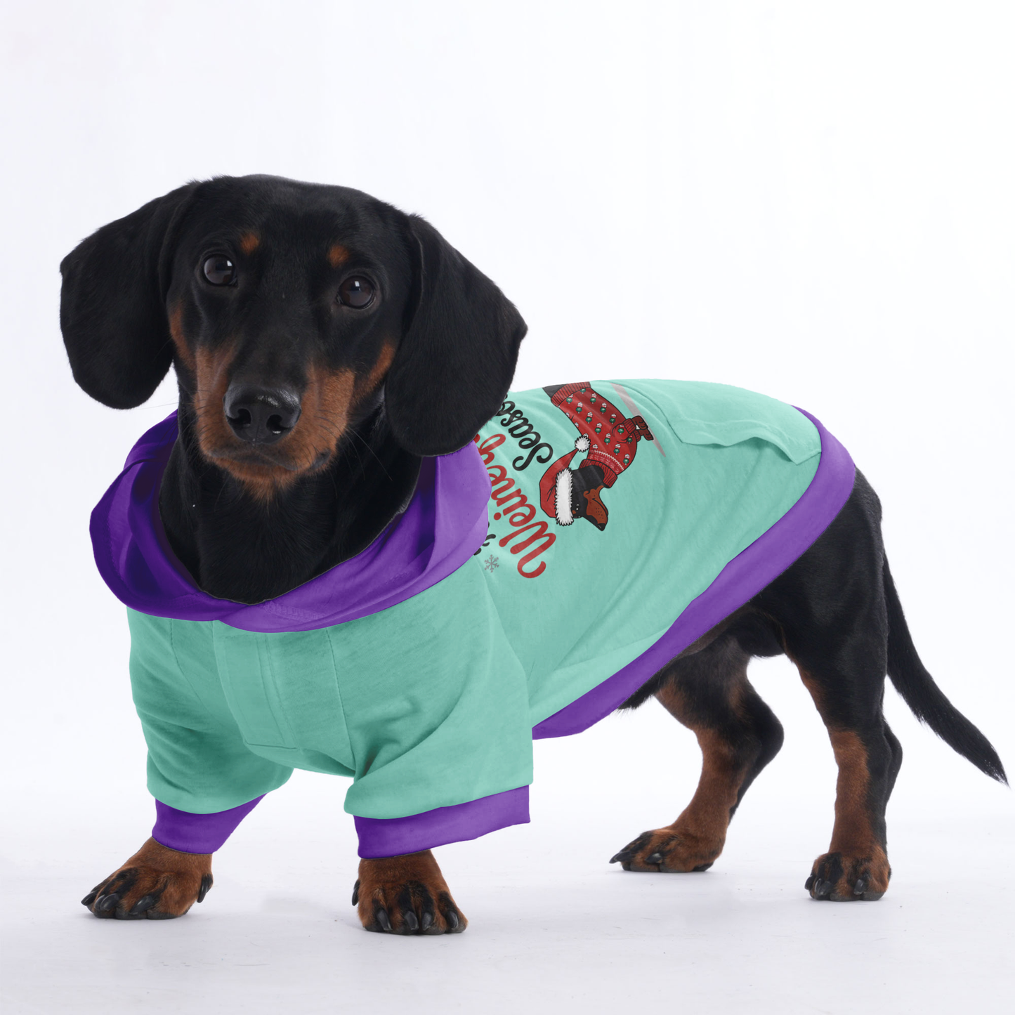 Daisy - Hoodies for Dachshunds