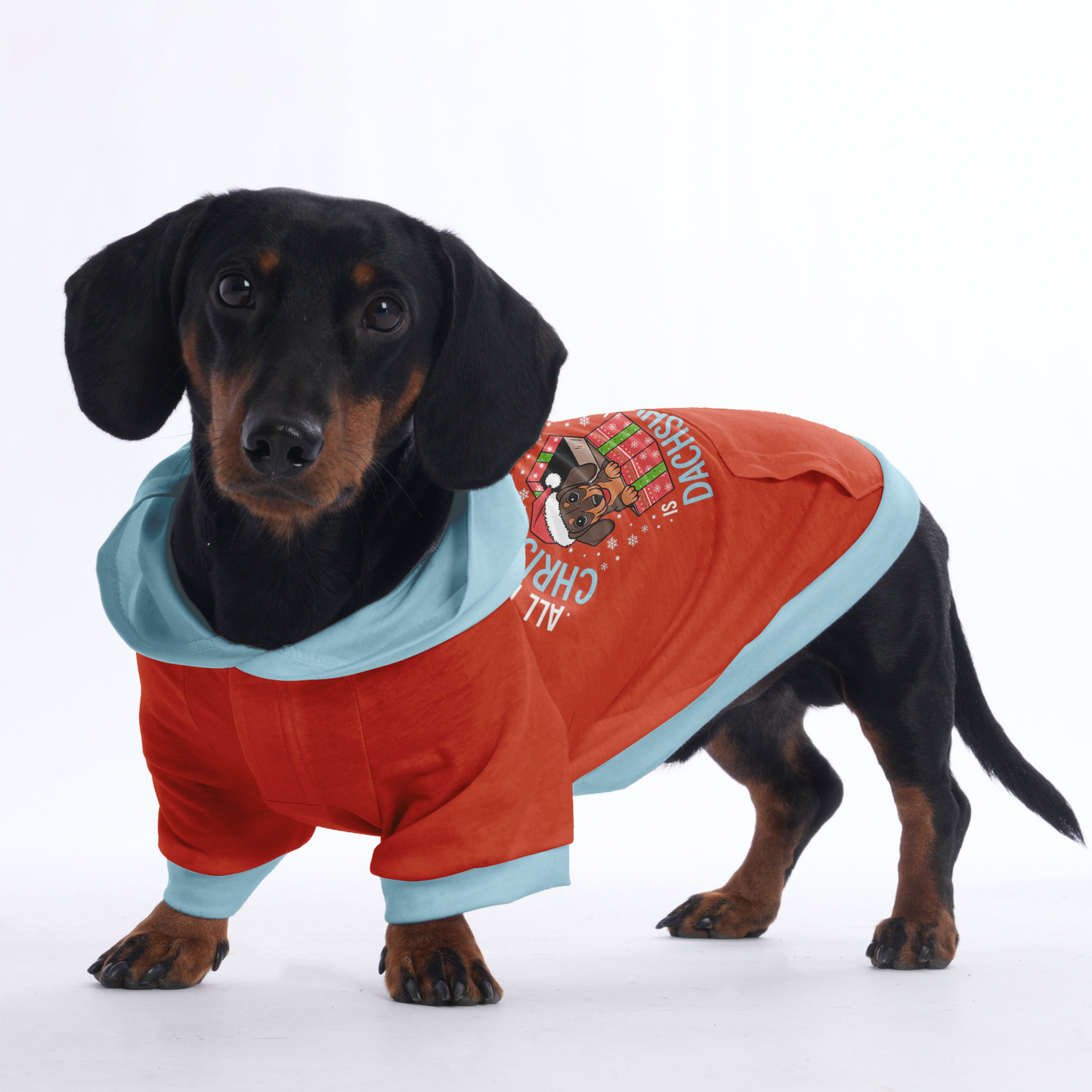 Charlie - Hoodies for Dachshunds