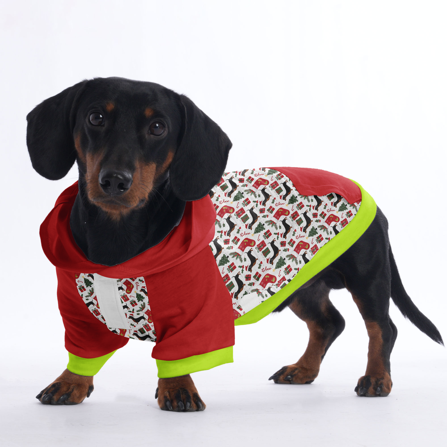 Lucy - Hoodies for Dachshunds