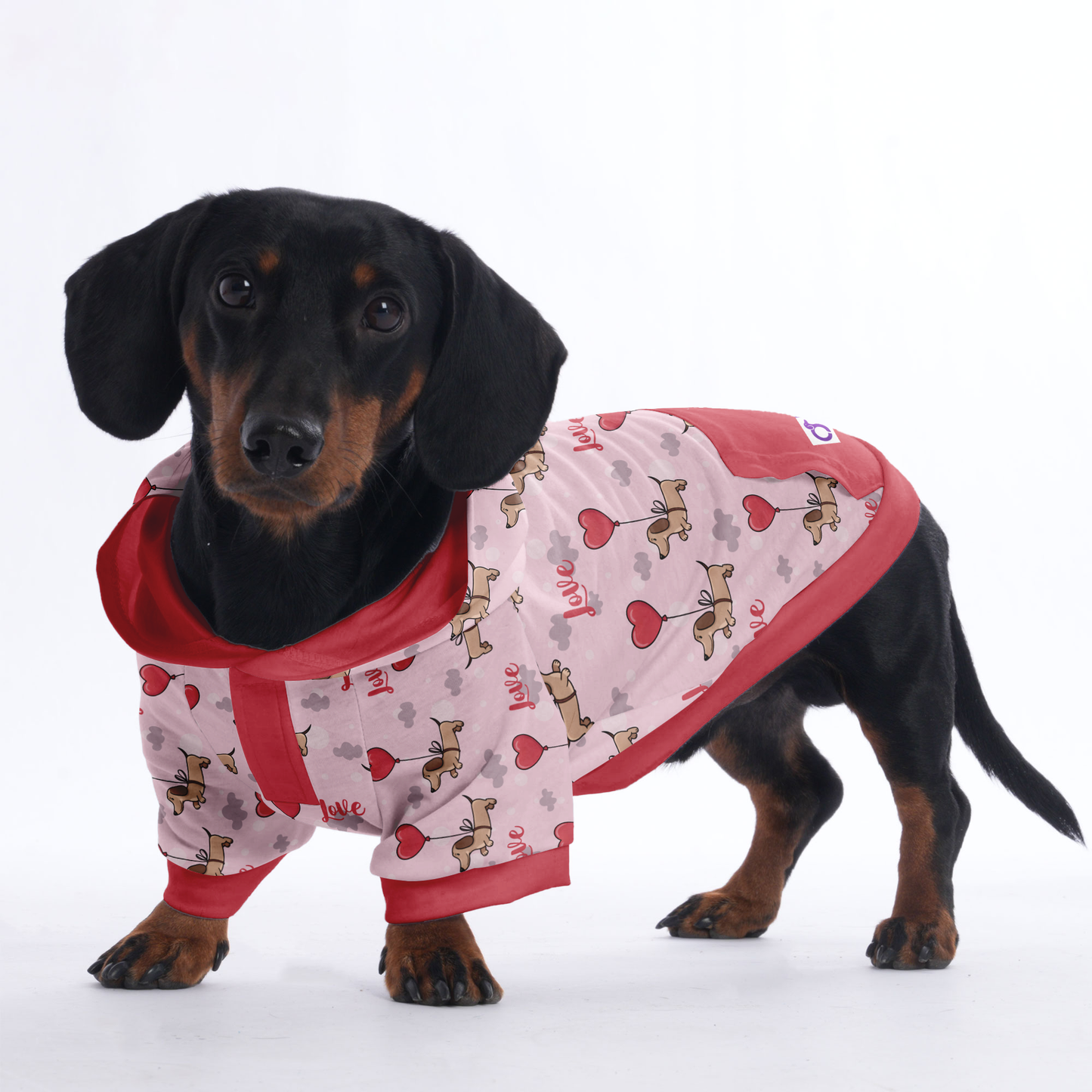 Cinnamon - Hoodies for Dachshunds