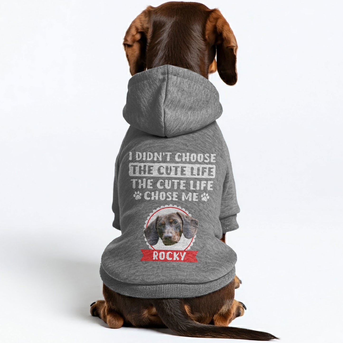 Cute Life – Personalized Dachshund Hoodies with Your Doxie’s Name & Photo – Stylish, Cozy & Made from Premium 100% Cotton