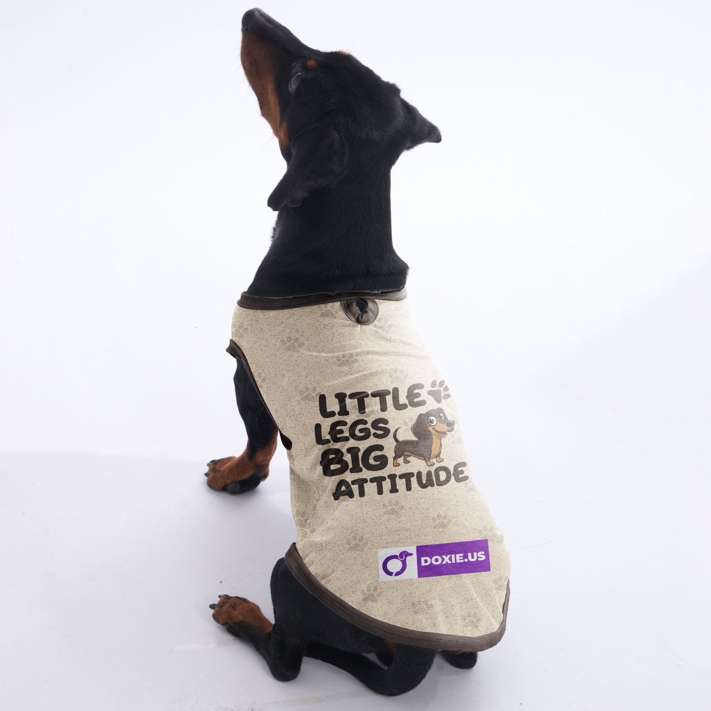 LITTLE LEGS BIG ATTITUDE  -  Shirt for Dachshunds