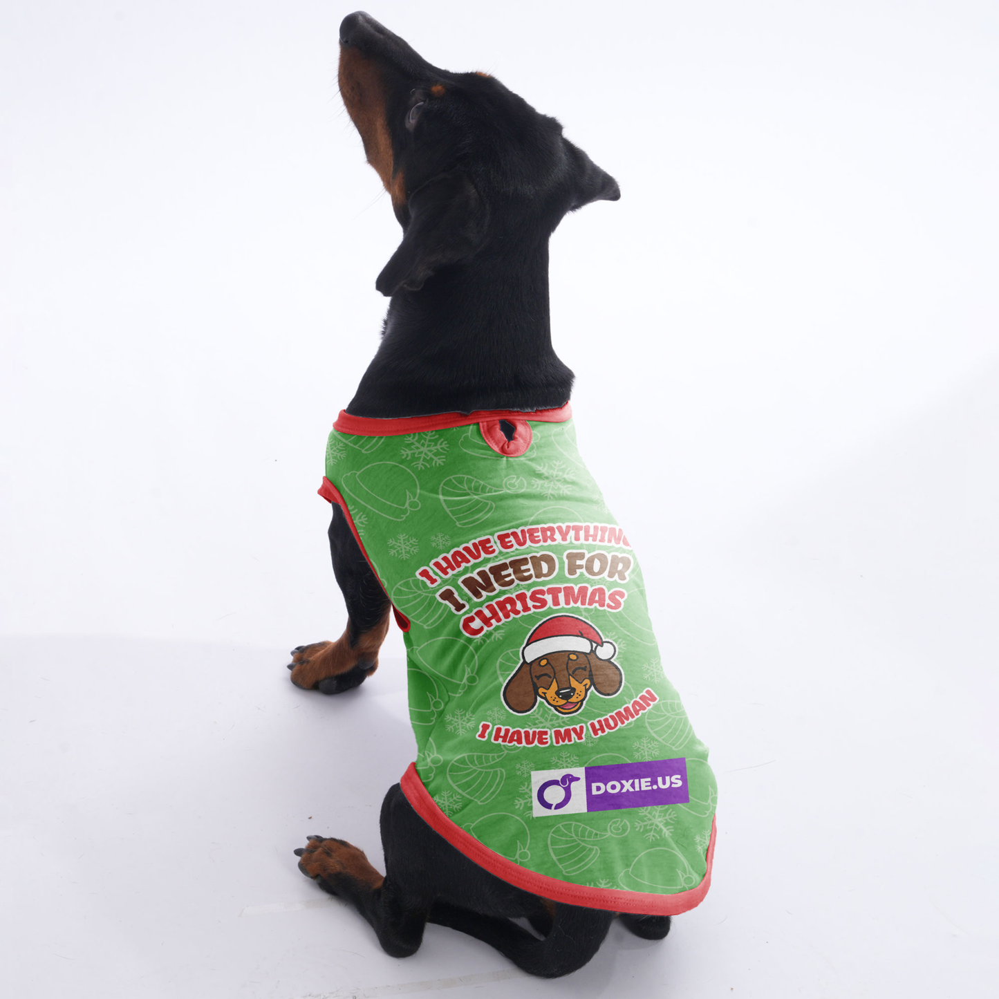 I HAVE EVERYTHING I NEED FOR CHRISTMAS, I HAVE MY HUMAN -  Shirt for Dachshunds