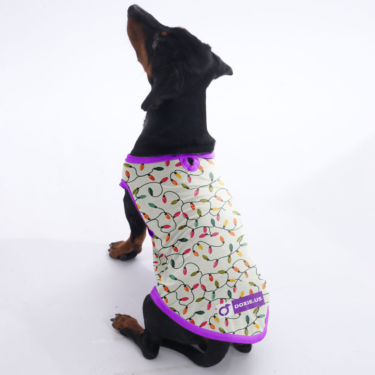 Rocky -  Shirt for Dachshunds