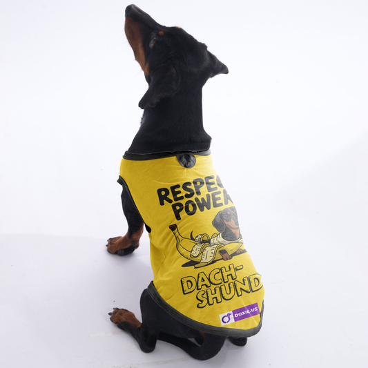 Bear -  Shirt for Dachshunds