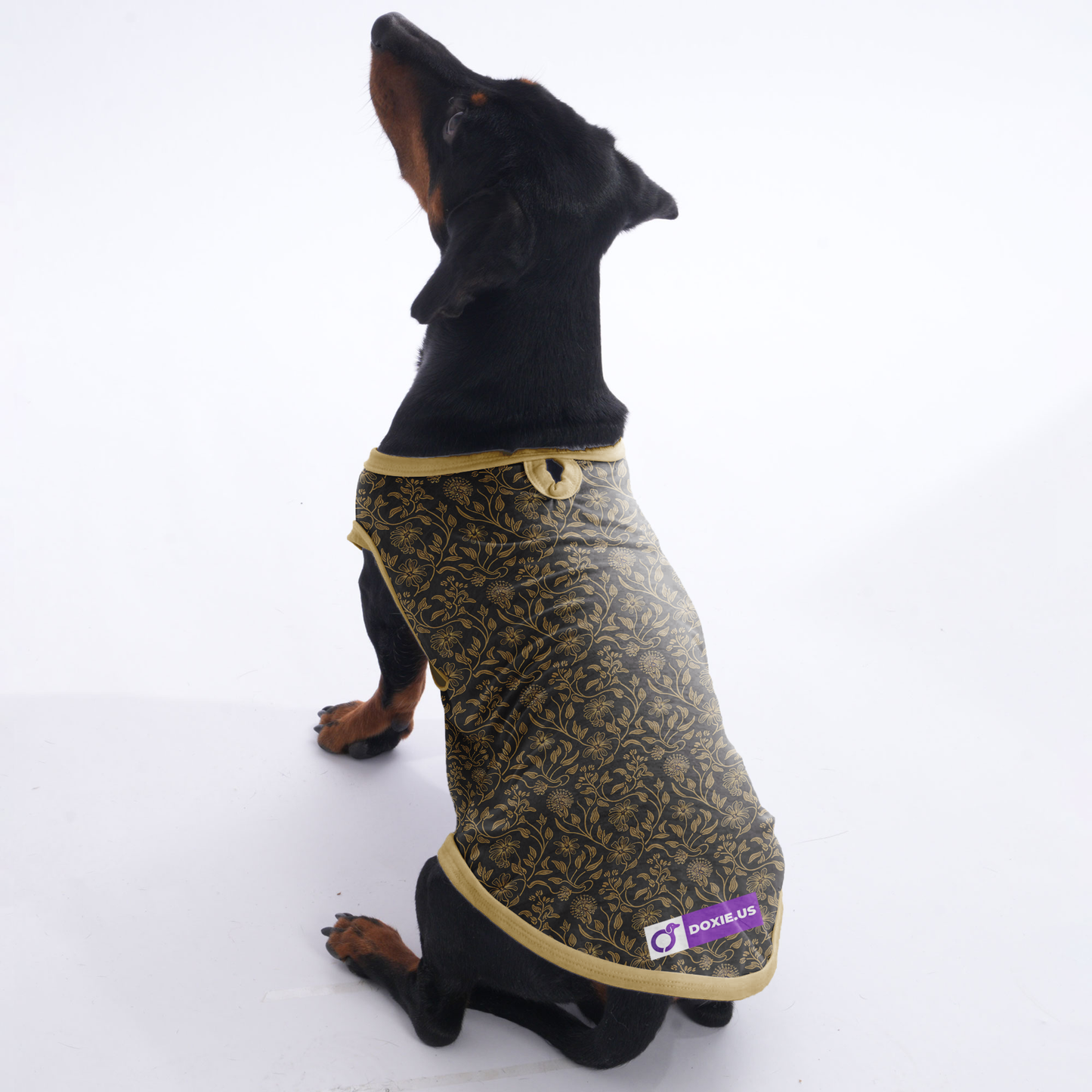 Toby -  Shirt for Dachshunds