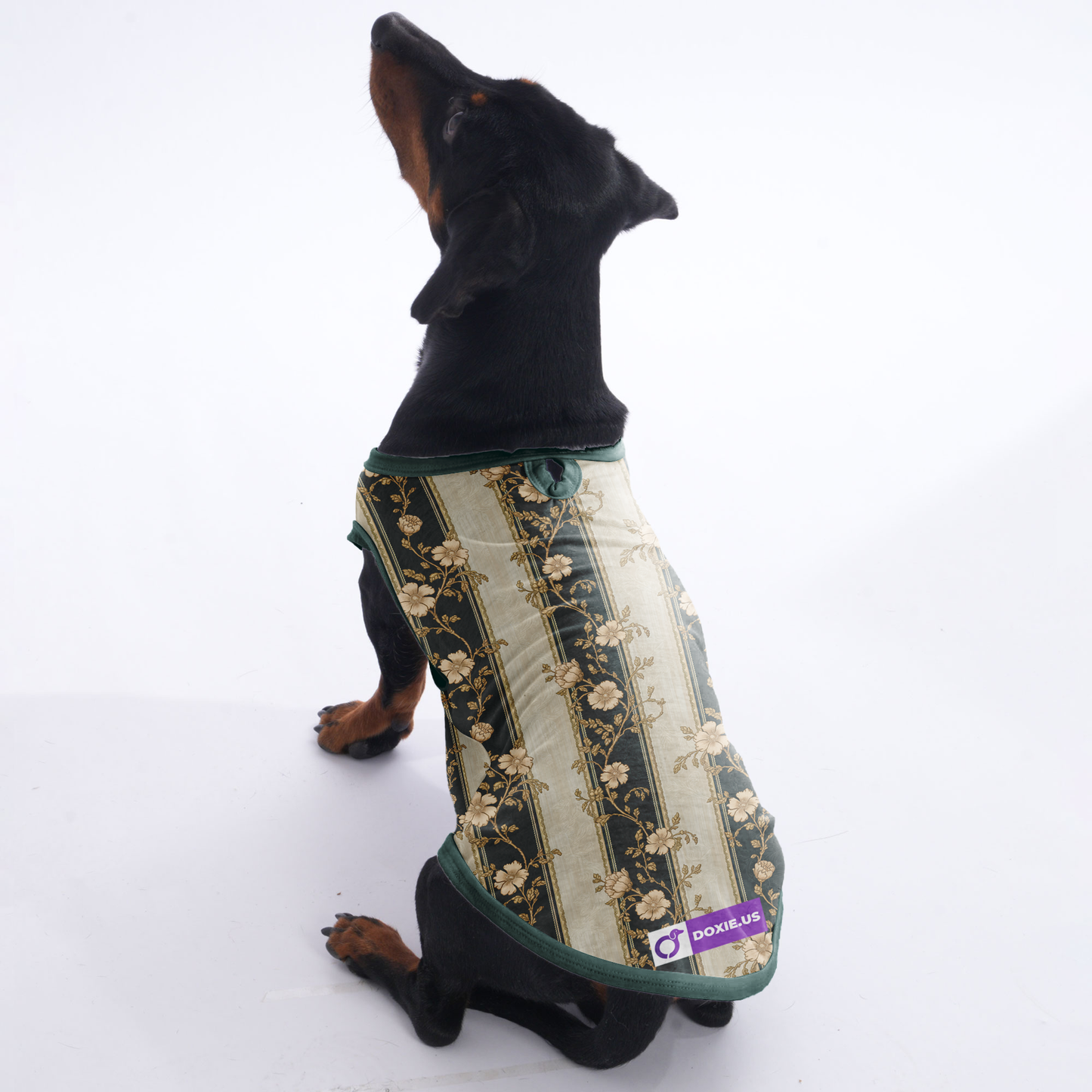 Henry -  Shirt for Dachshunds